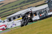 PJ-Motorsport-2019;anglesey-no-limits-trackday;anglesey-photographs;anglesey-trackday-photographs;enduro-digital-images;event-digital-images;eventdigitalimages;no-limits-trackdays;peter-wileman-photography;racing-digital-images;trac-mon;trackday-digital-images;trackday-photos;ty-croes